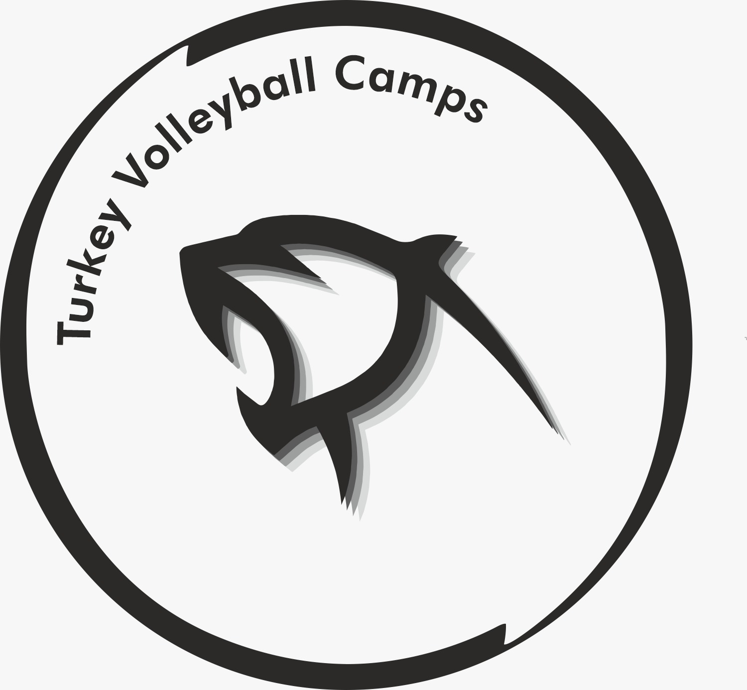 /media/turkey_volleyball_camps_logo.jpeg